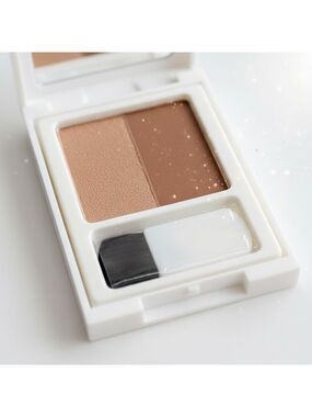 Elizabeth Arden Bronzing Powder Duo Bronze Beauty 0.13 oz New